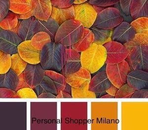 Colours combination Personal Shopper
